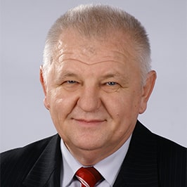 Анатолій Задоя - Професор