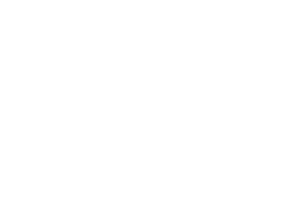 Київська школа державного управління імені Сергія Нижного - лого